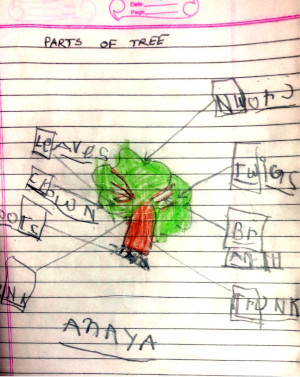 Anaya builds her English vocabulary by naming the parts of a tree.