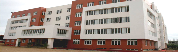 Atharv and Aadya Kaushik attend National Public School, Bengaluru.