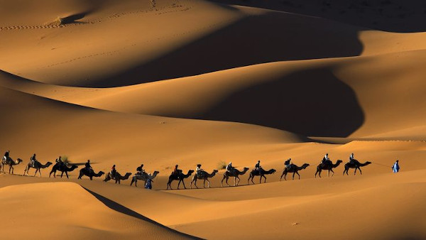 Thar desert