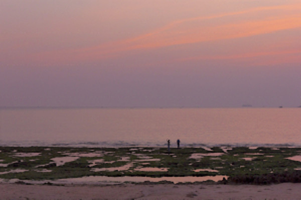 Seashore at Porbandar on a fine day