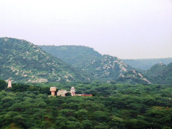 View from the rooftop of my office in Jaipur.