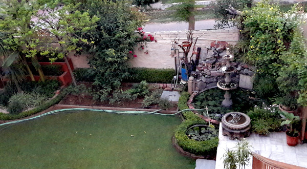 A bird's eye view of the garden.