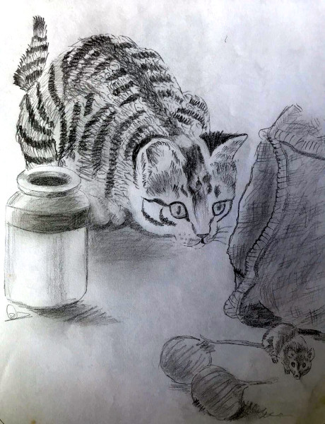 A curious cat investigates (Pencil sketch by Rucha Rathod.)