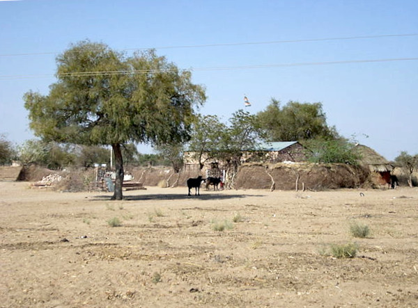 A dhani in Rajasthan, the smallest village unit.